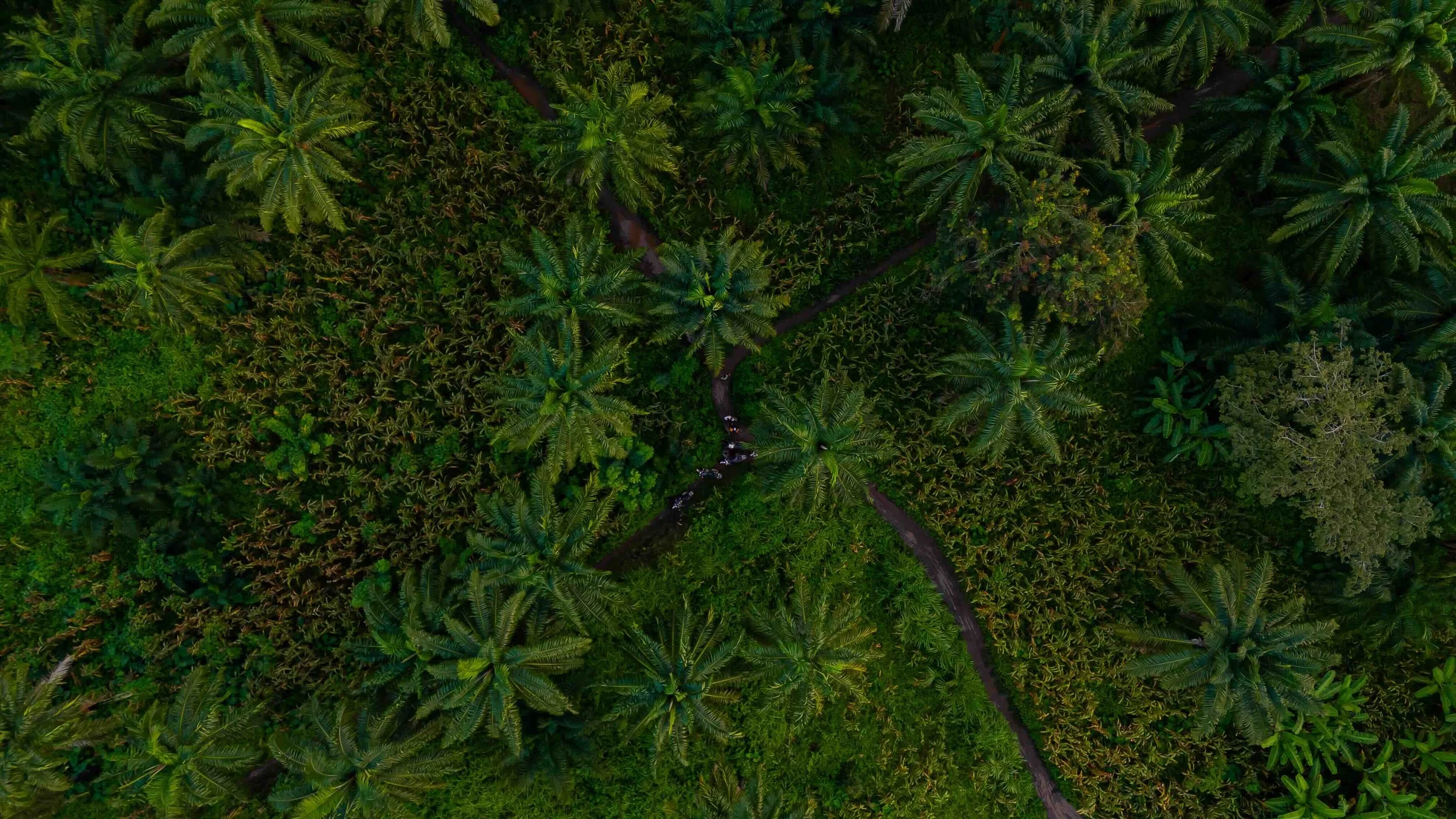 2026.03.01_Drone view of the road.jpeg