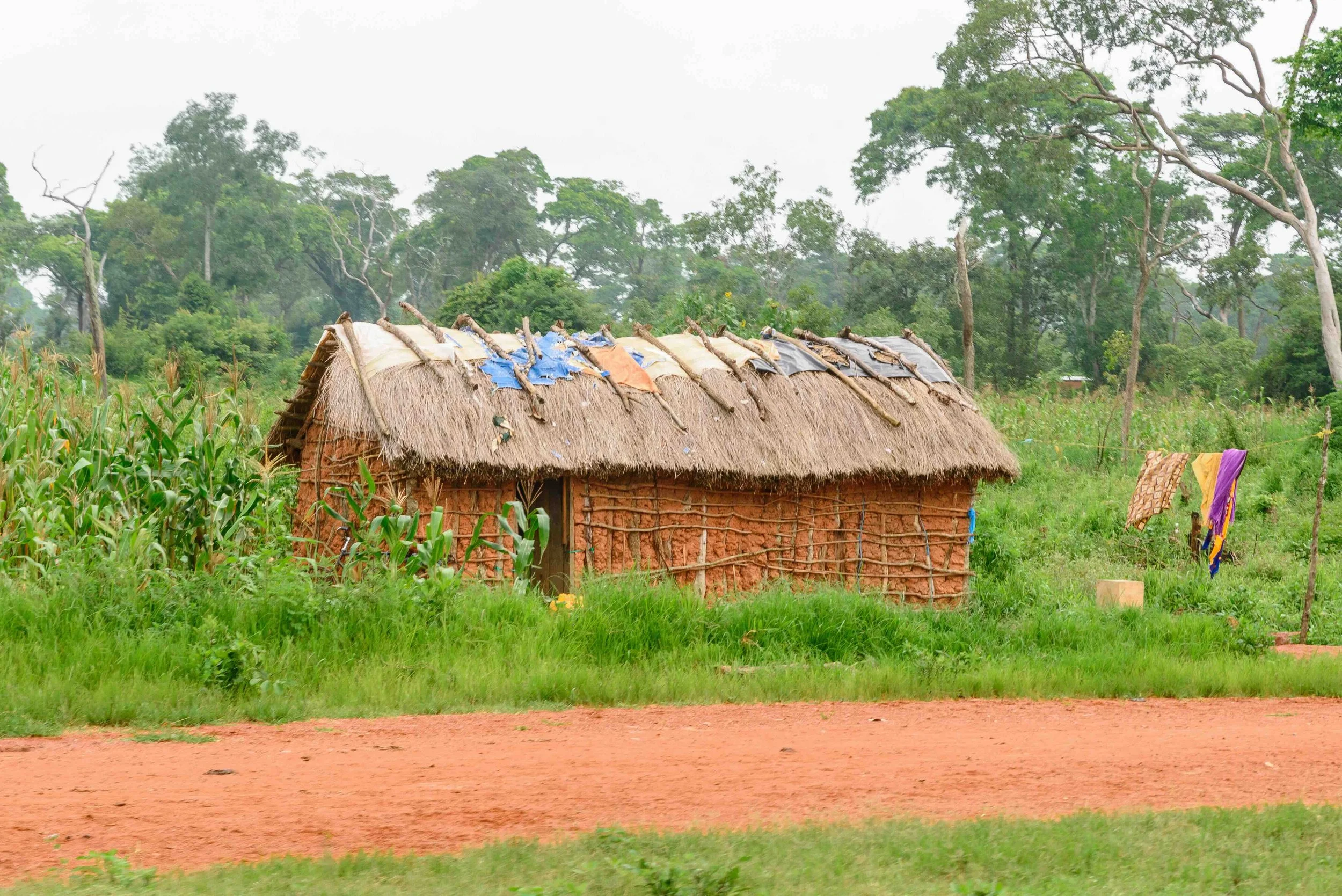 2026.03.02_The village thatched house.jpeg