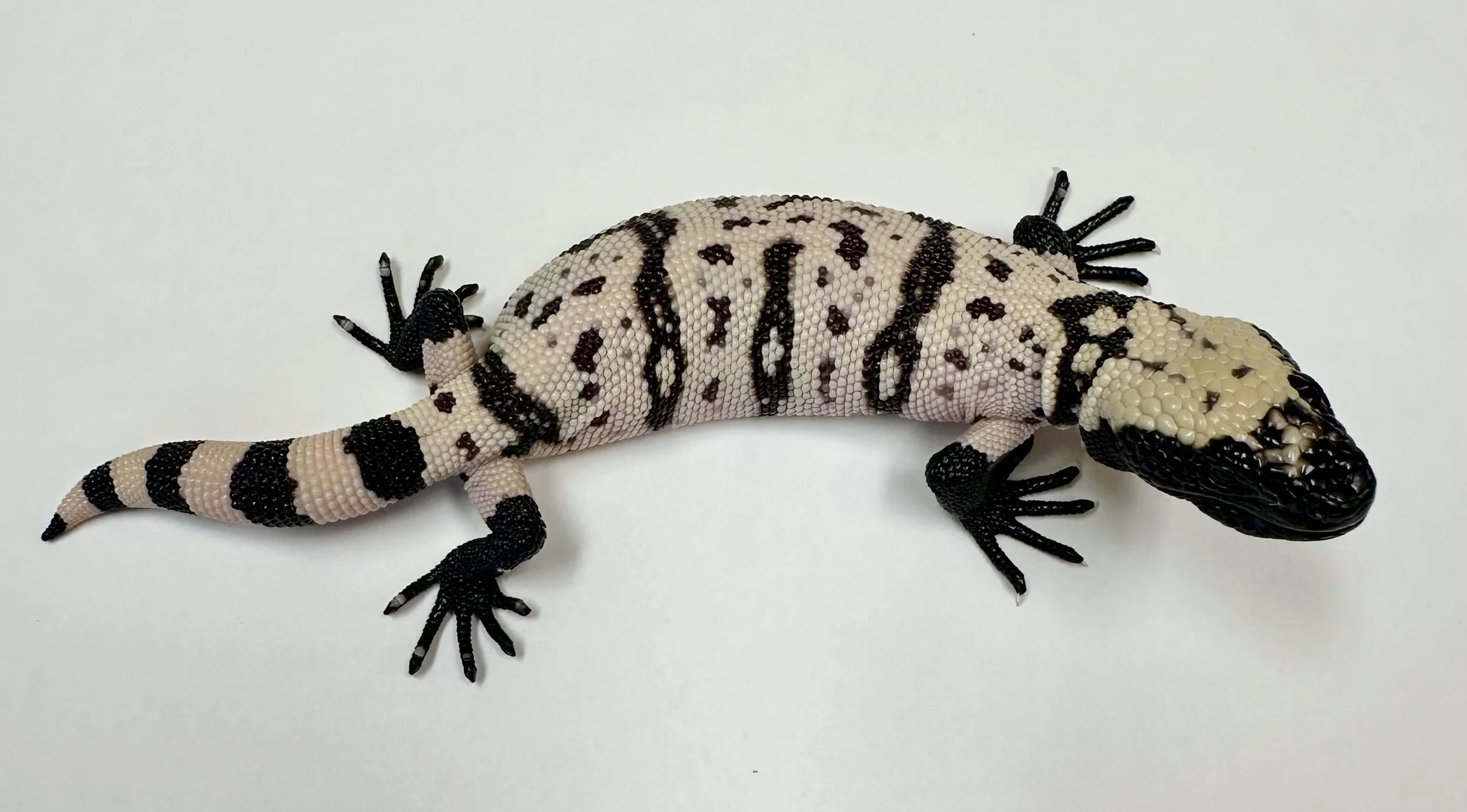 B13_D_2025 $2500.jpg