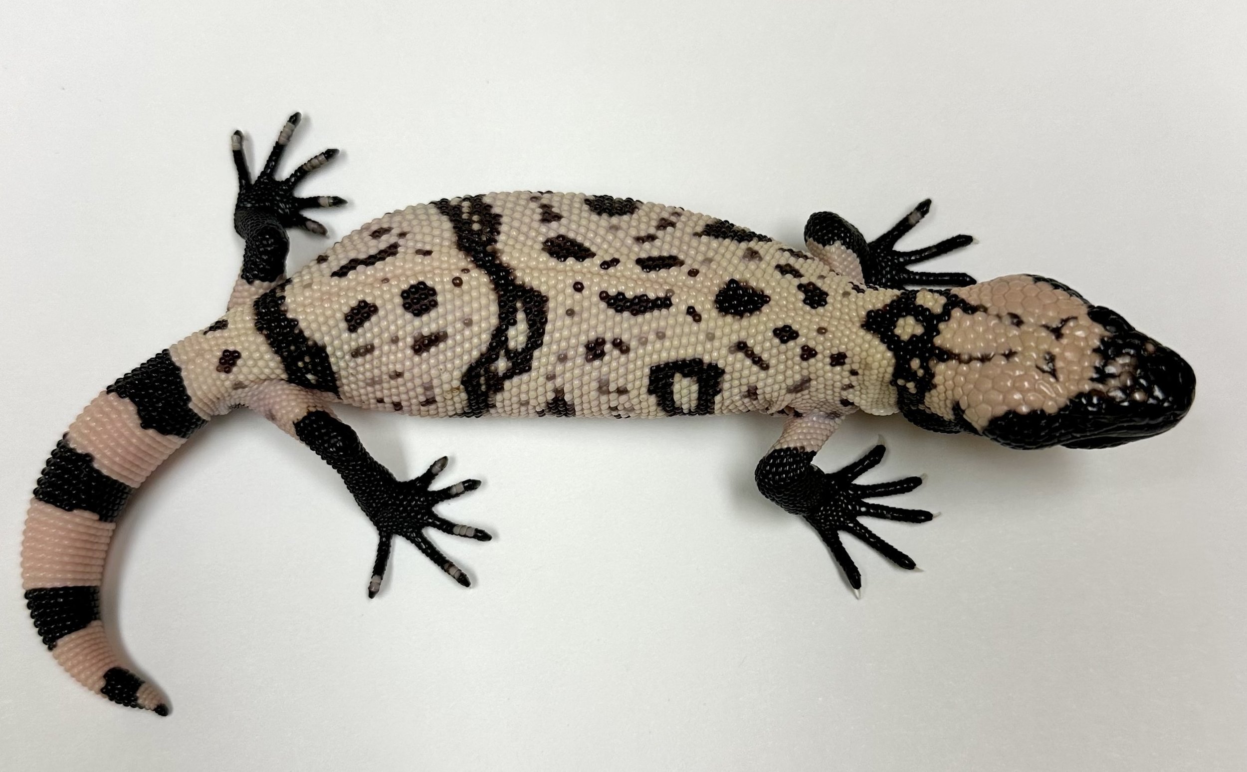 B9_B_2024  $3000.jpg