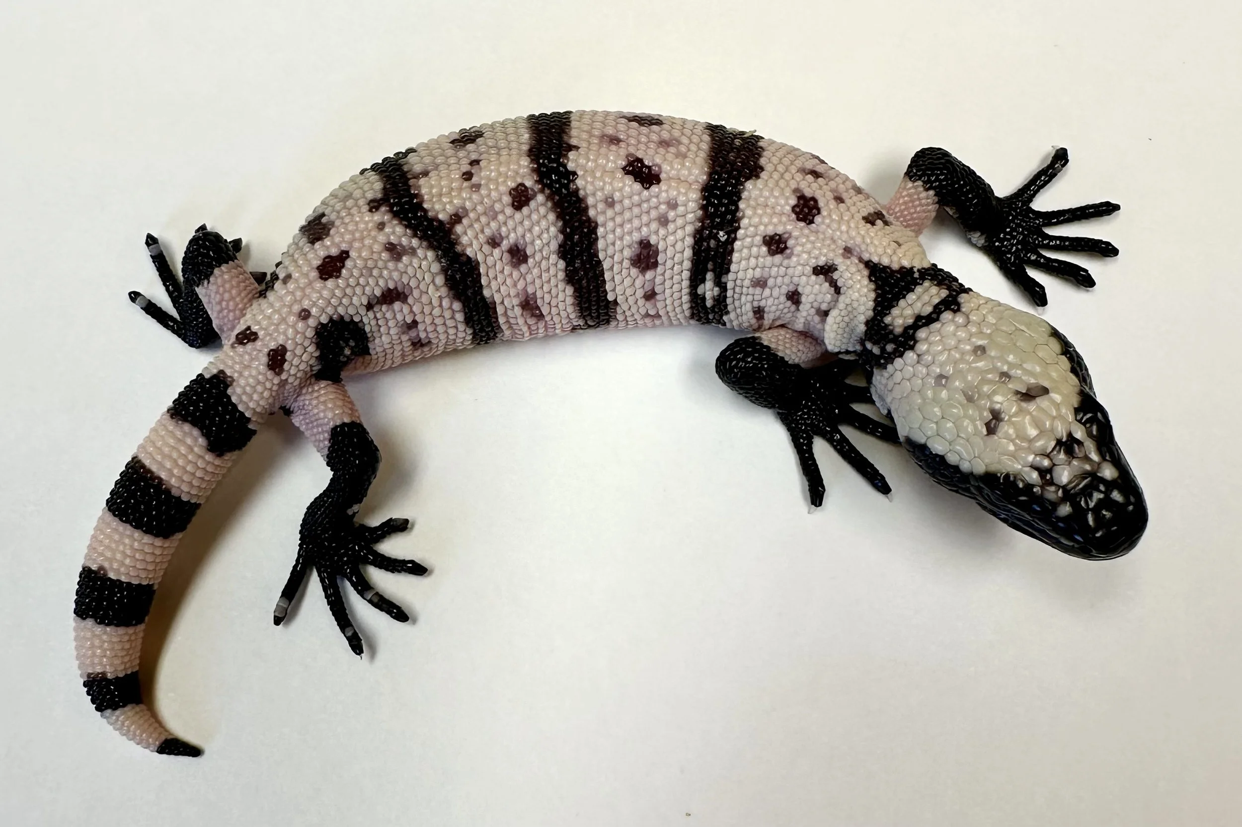 B23_G_2025  $2250.jpg