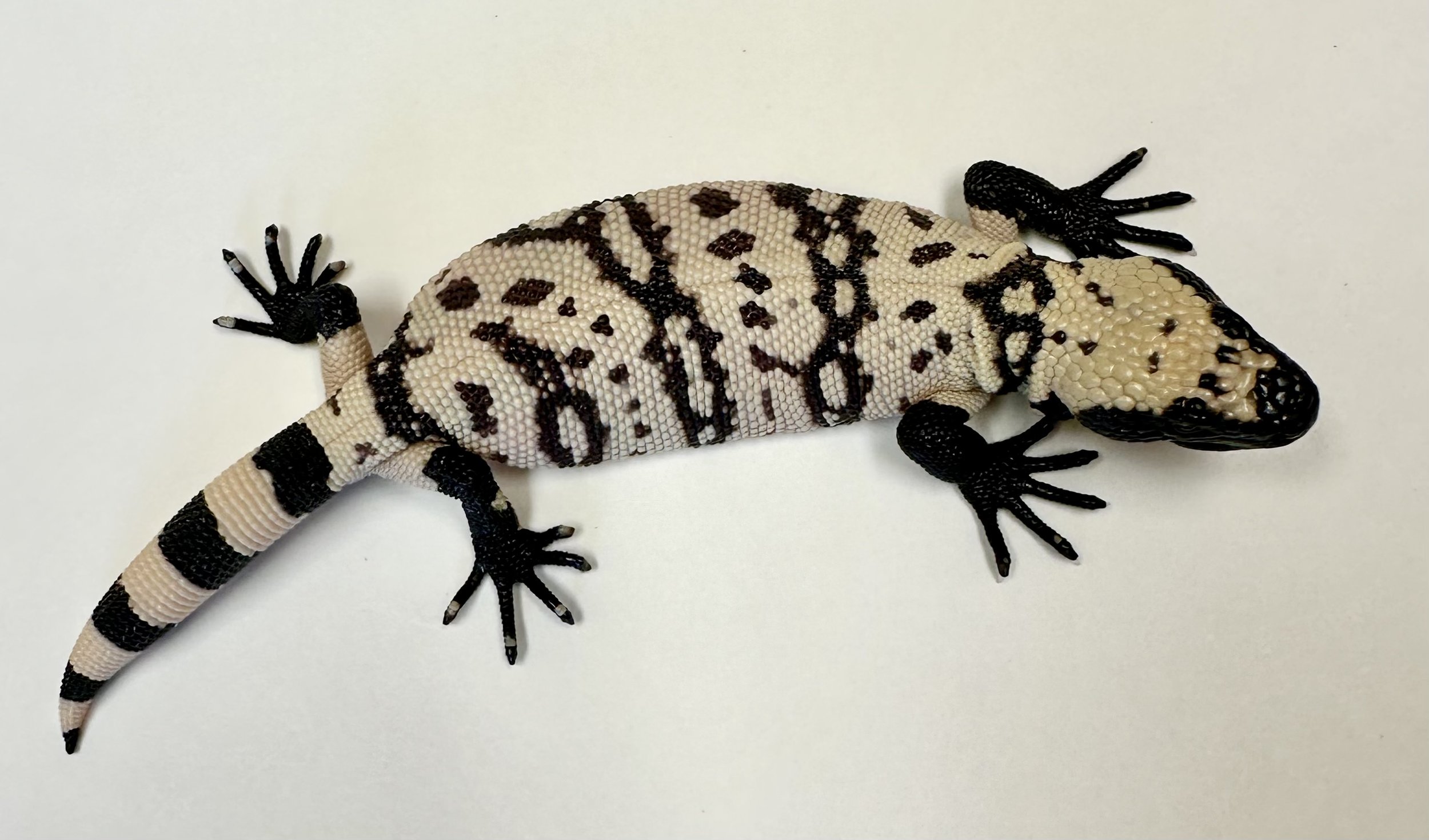 B15_D_2025  $2250.jpg