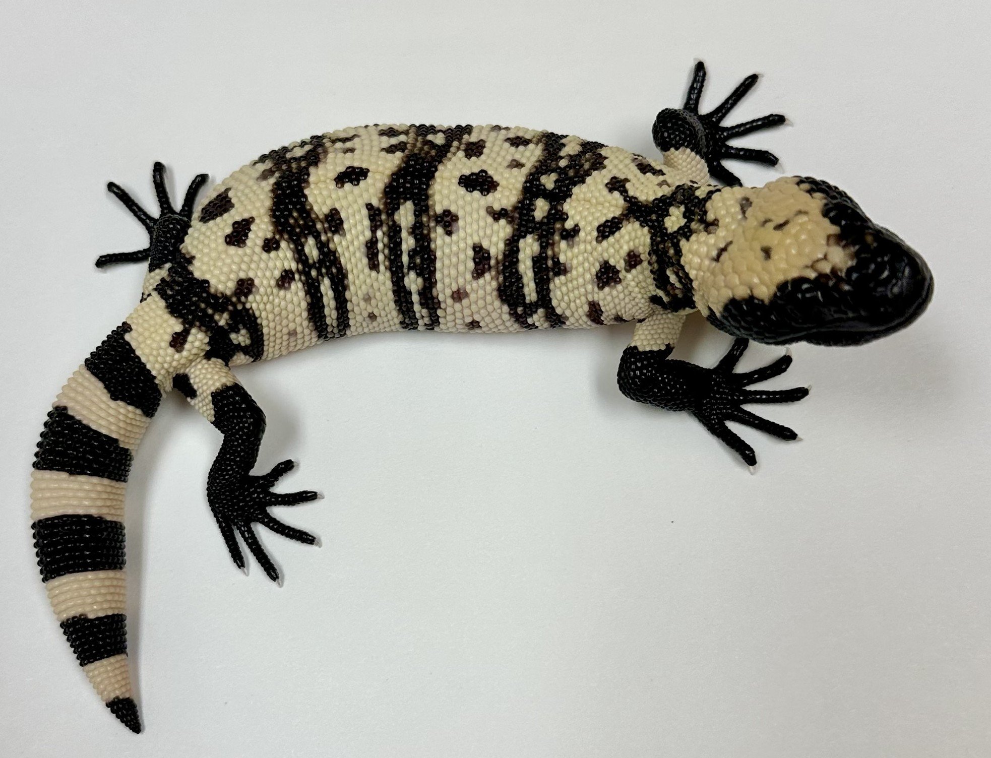 B17_E_2024  $1675..jpg