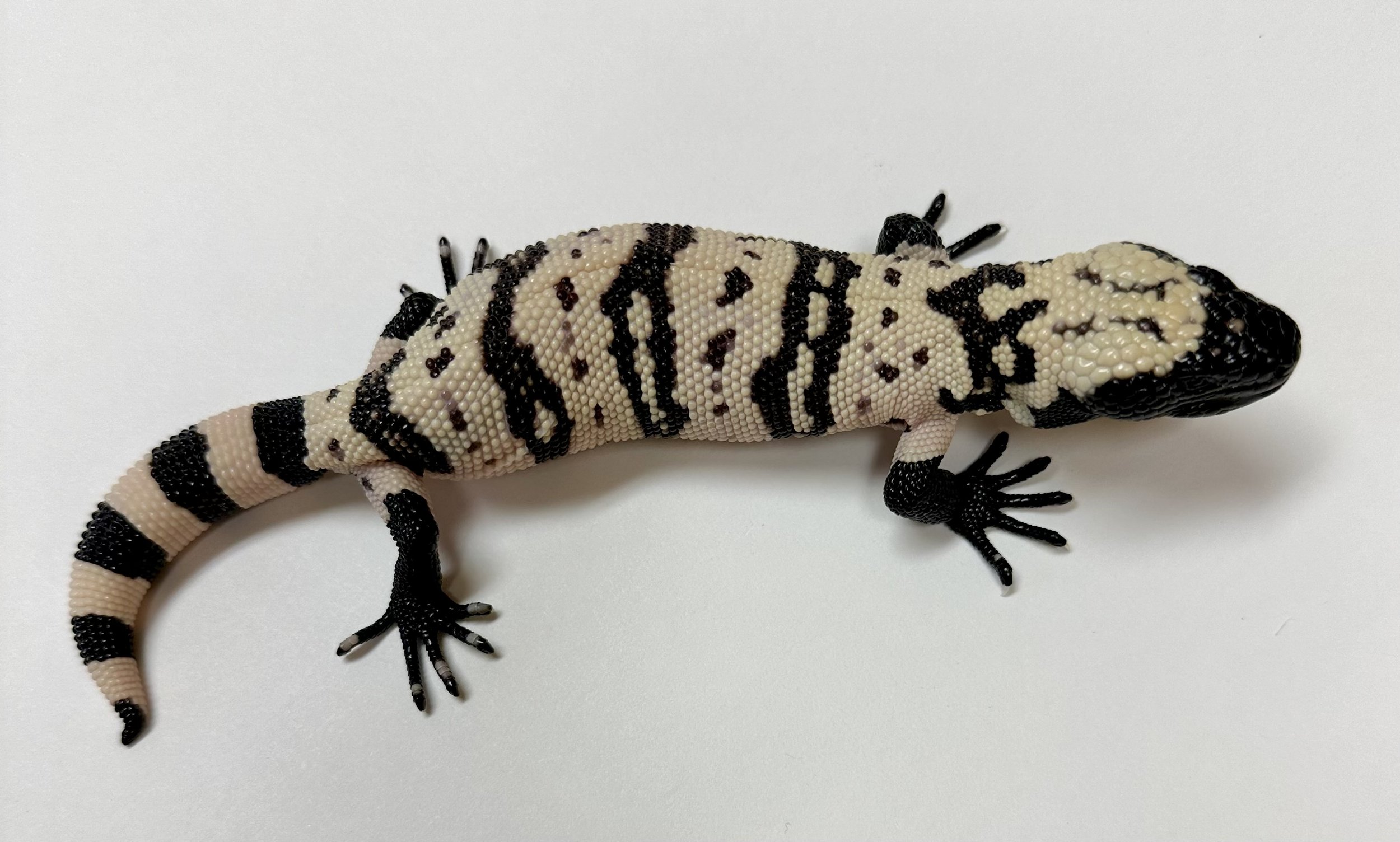 B25_F_2024  $1975.jpg