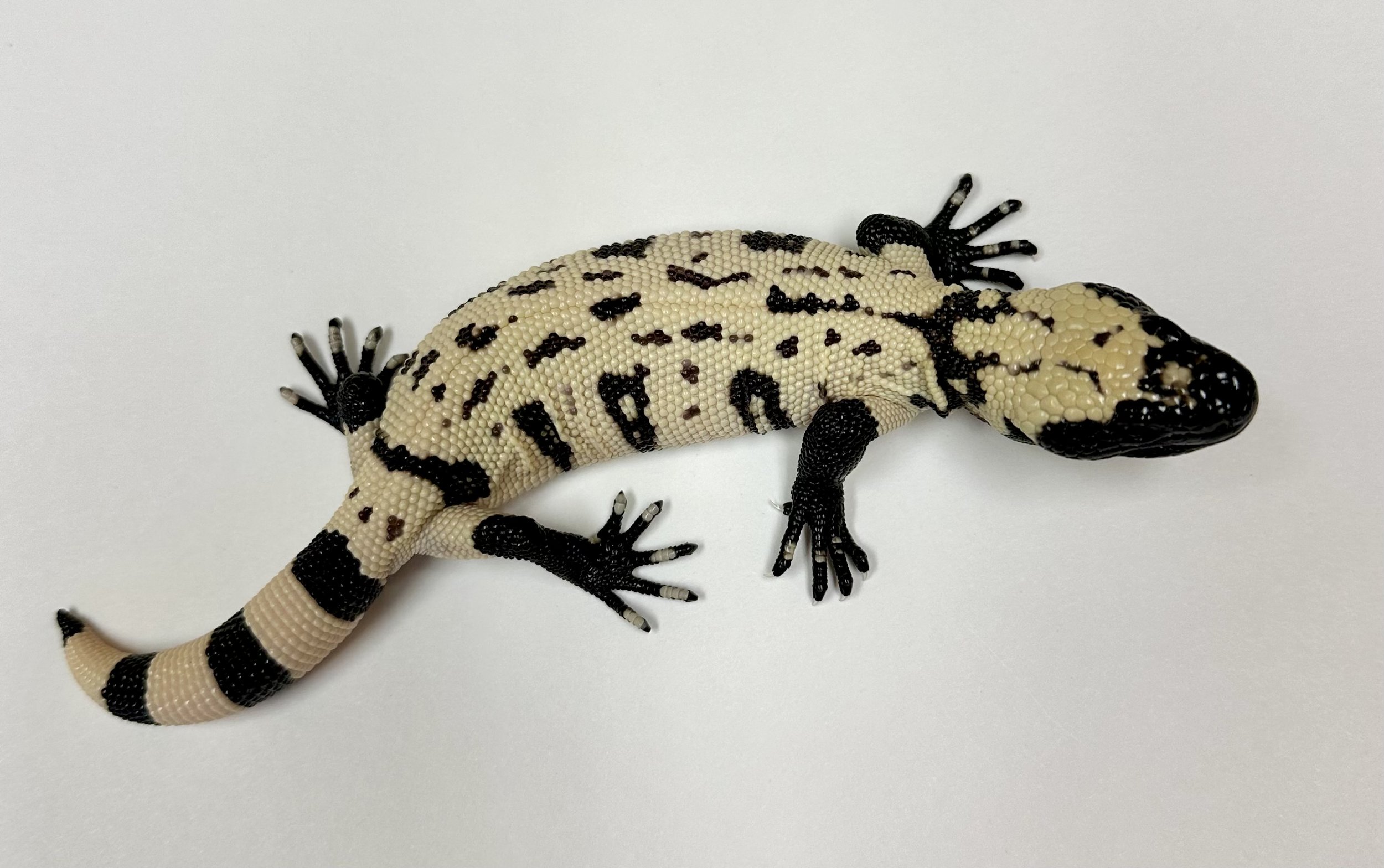 B23_F_2024  $3000..jpg