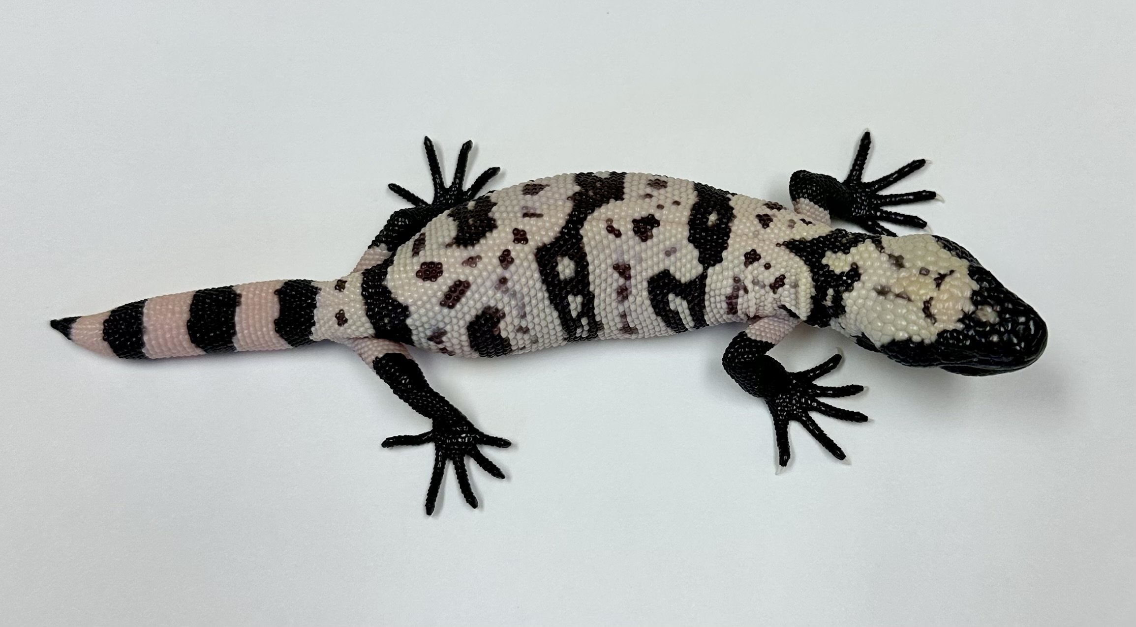 B11_C_2025 $2075.jpg