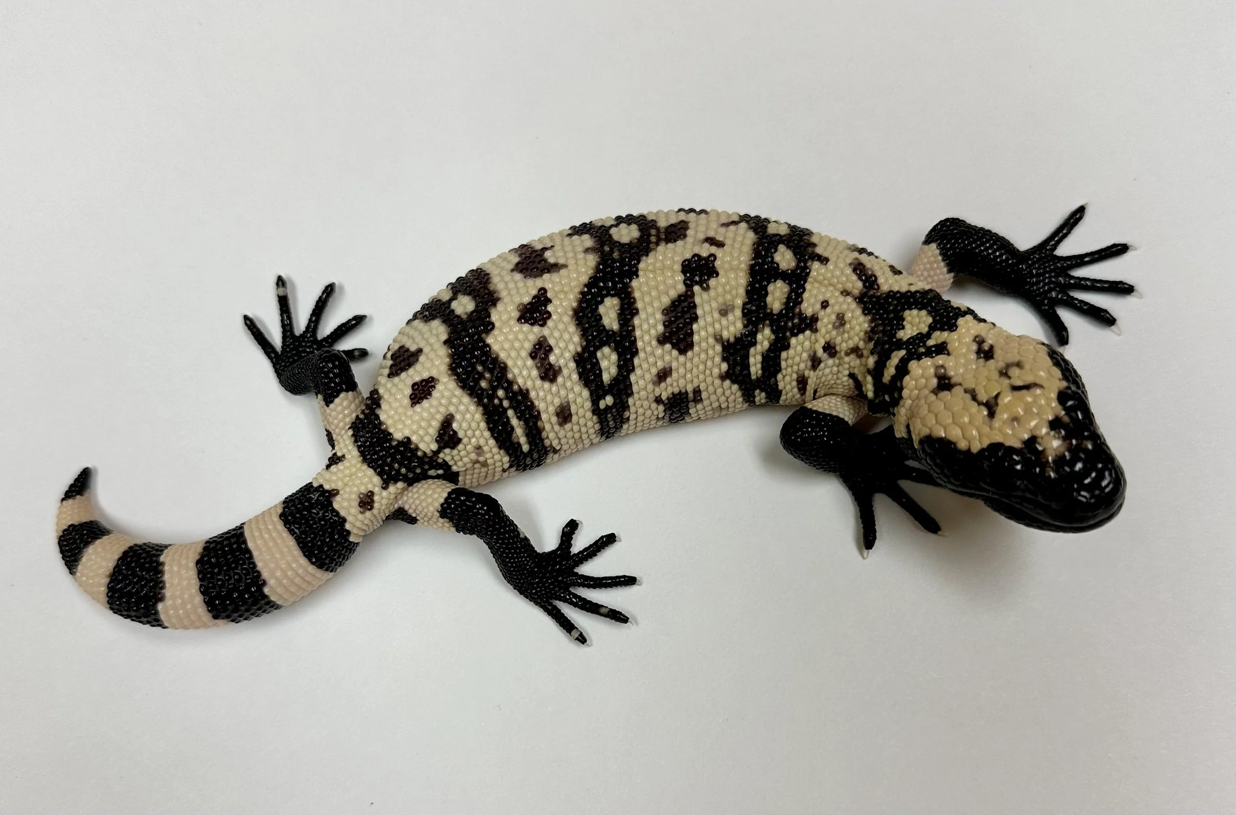 B18_E_2024  $1675.jpg