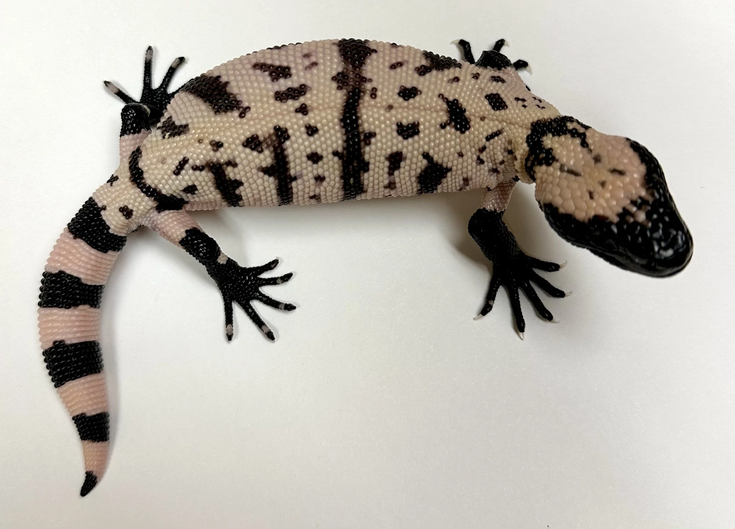 B7_B_2024  $2500.jpg