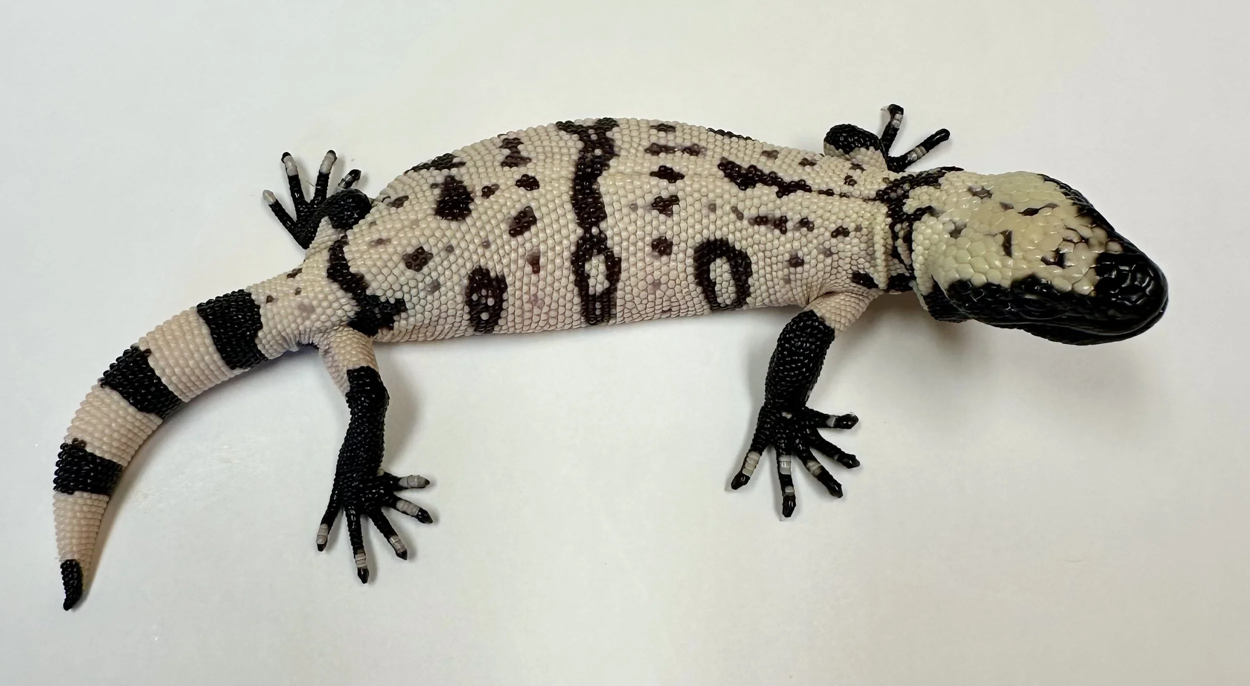 B27_H_2025 $3000.jpg