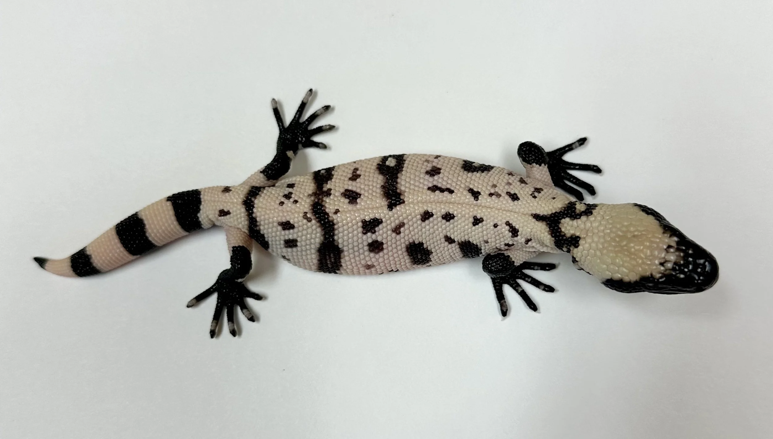 B27_G_2024  $3000.jpg