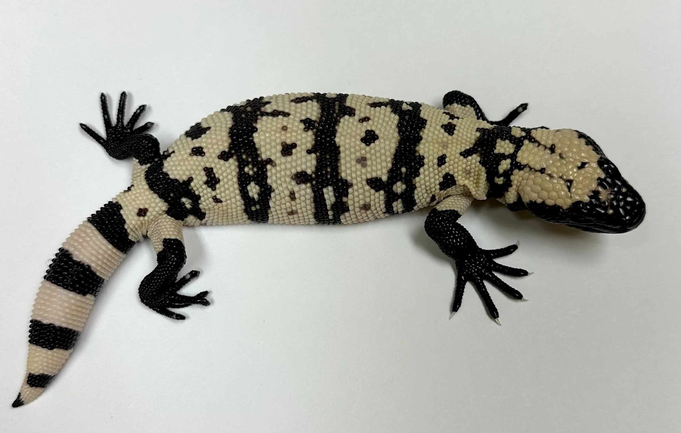 B13_C_2024  $1775.jpg