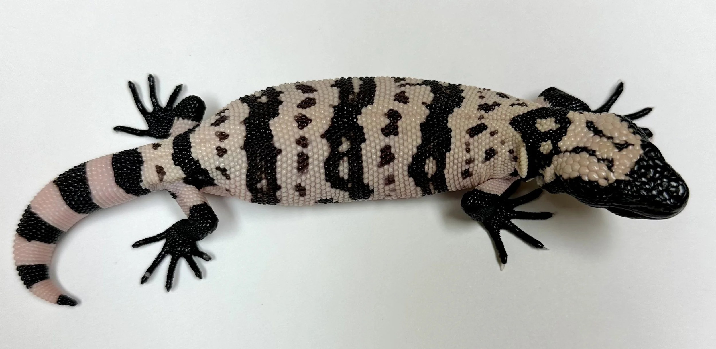 B5_A_2024  $1775.jpg