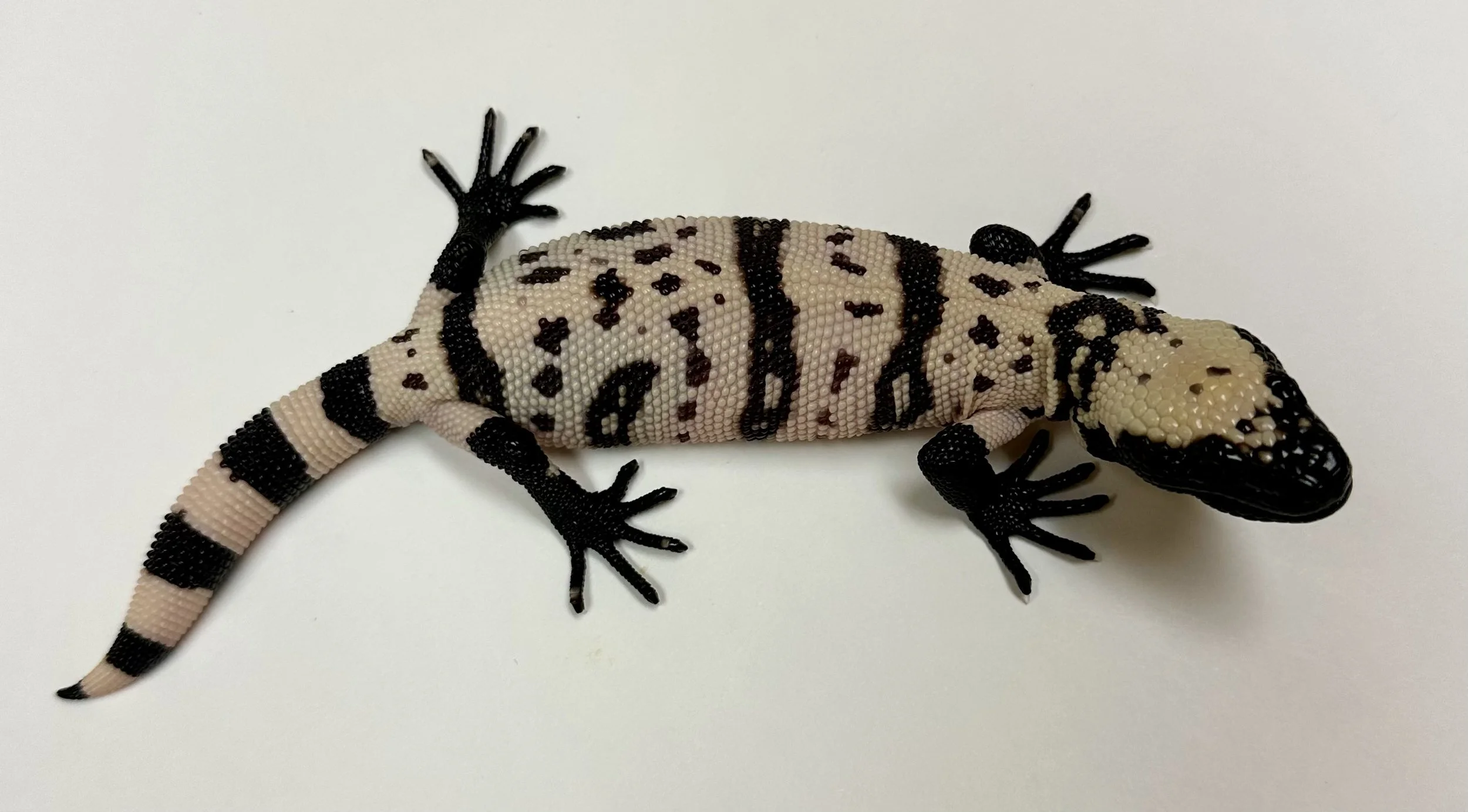 B18_F_2025 $2250.jpg