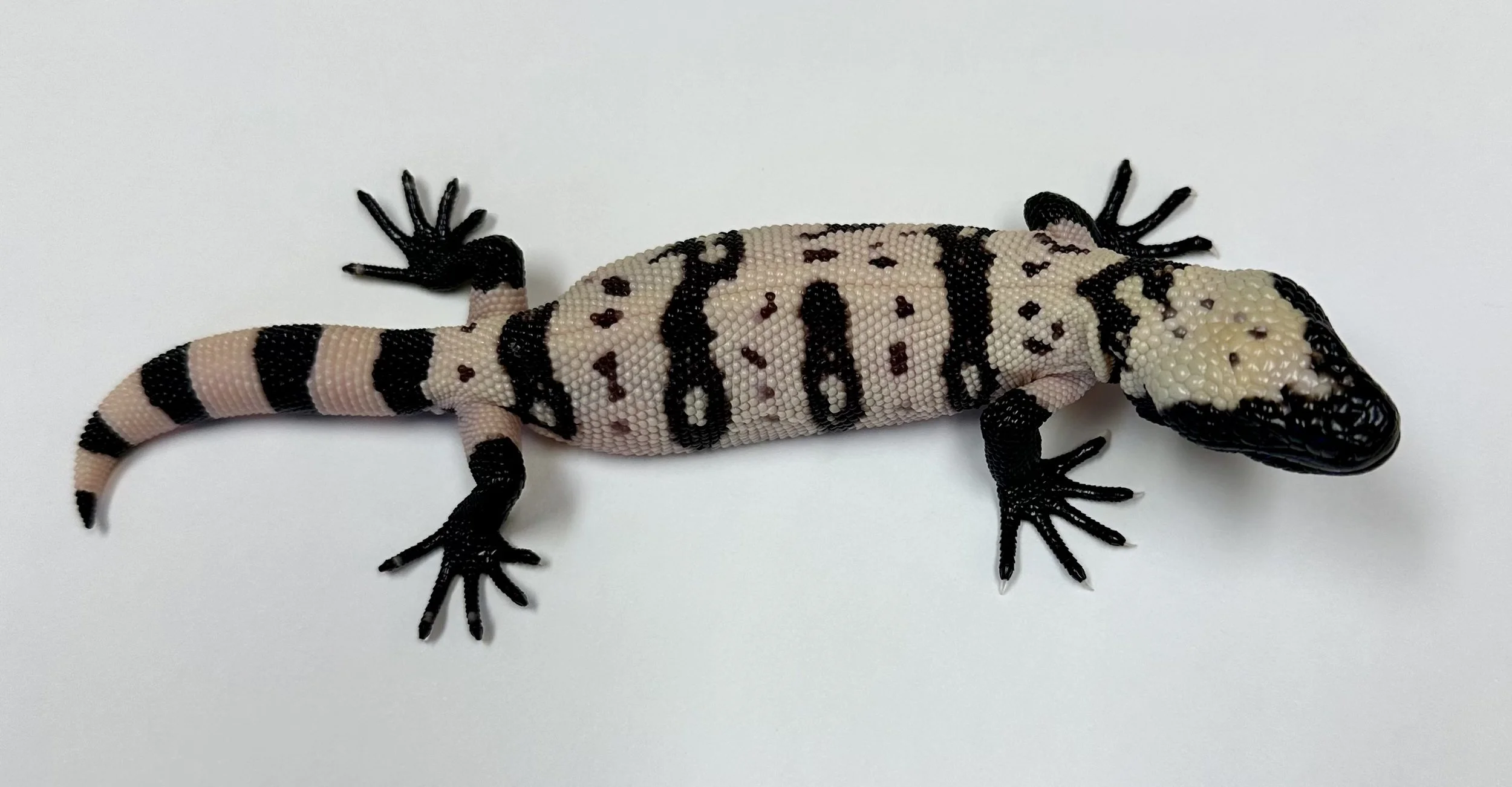 B12_C_2025 $2250.jpg