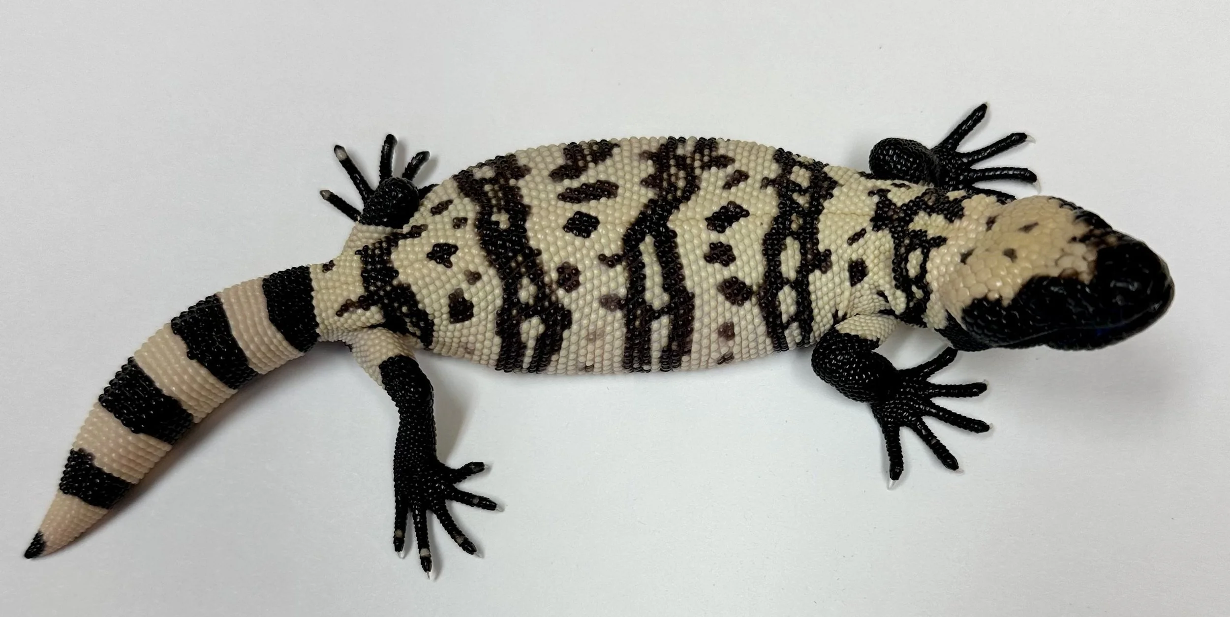 B19_E_2024  $1775.jpg