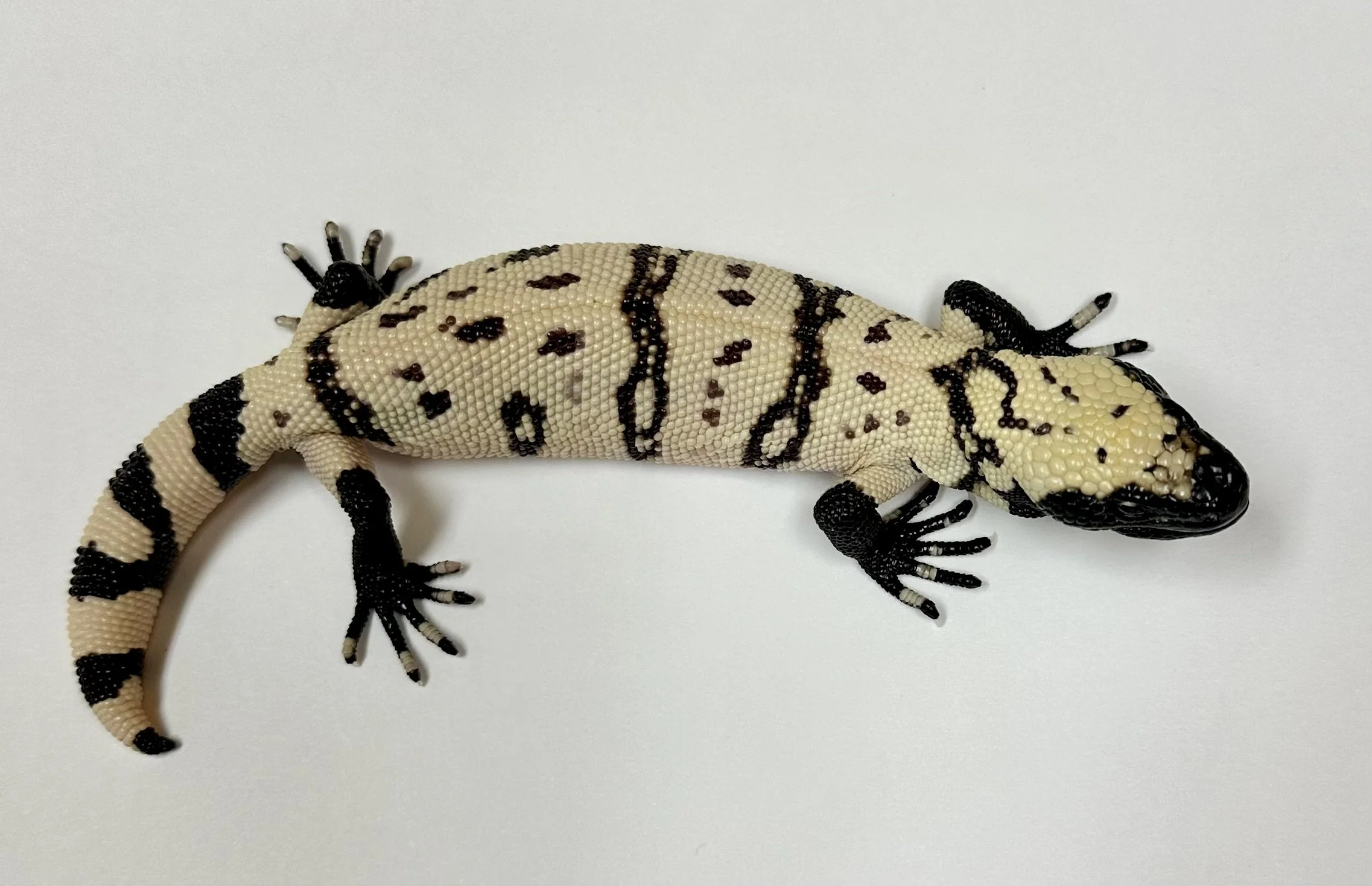 B22_F_2024  $3000.jpg