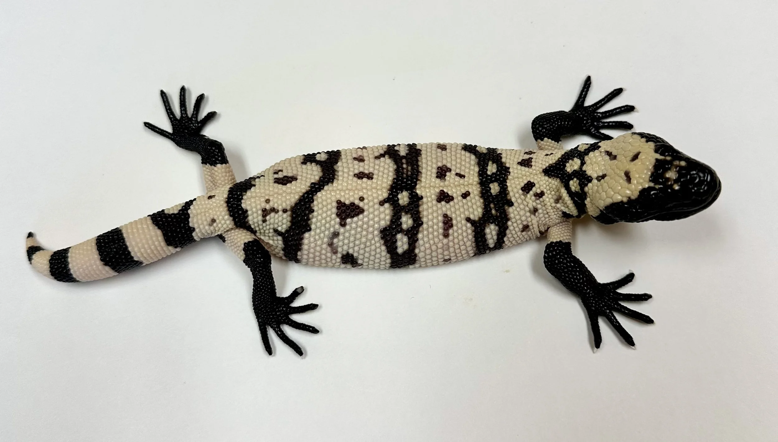 B17_E_2025 $1975.jpg