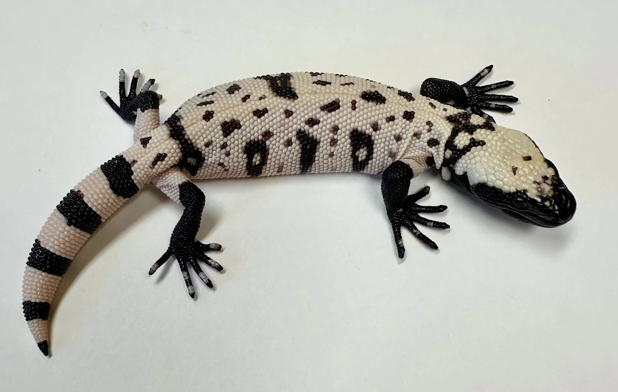 B26_H_2025 $3000.jpg