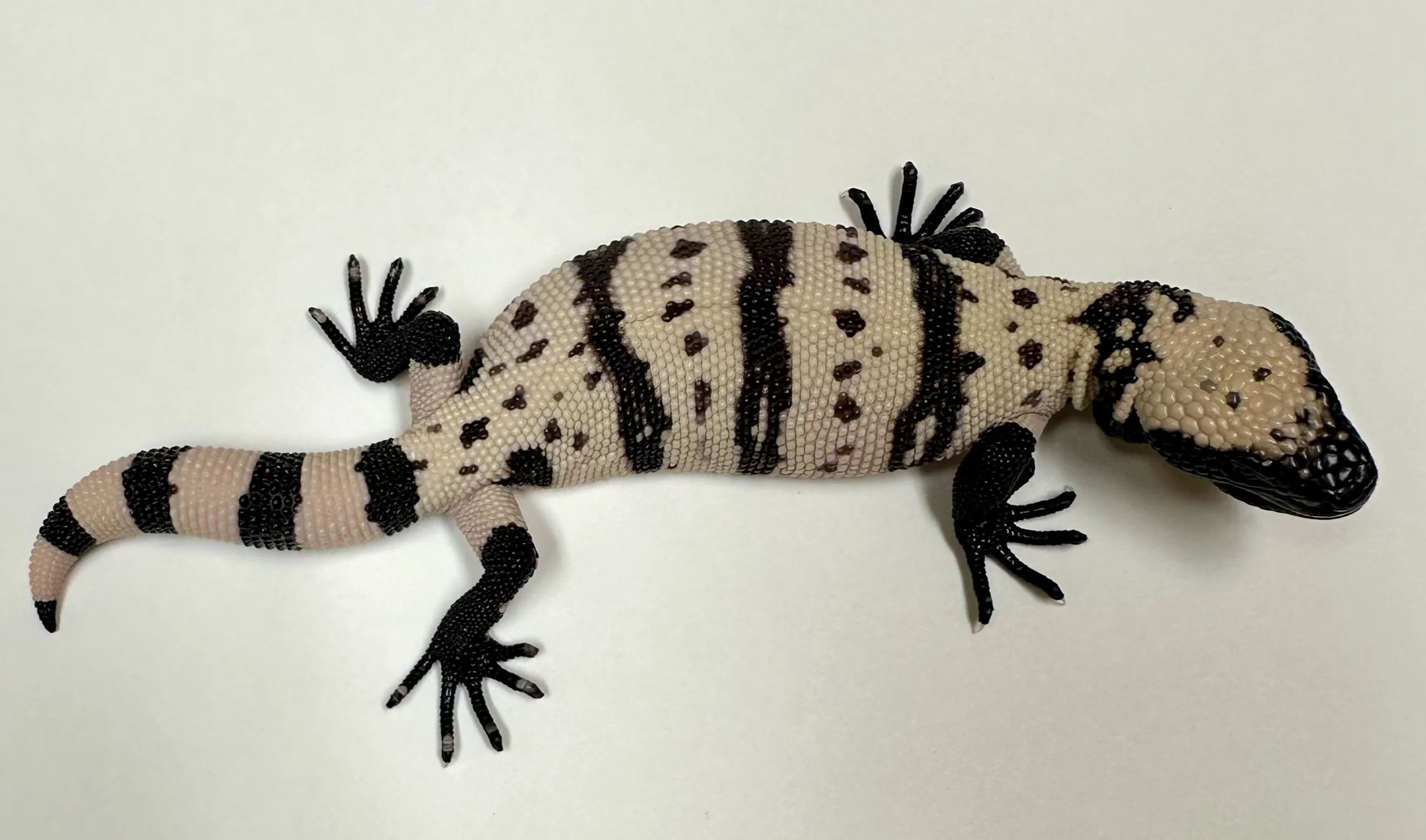 B3_A_2024  $1975.jpg