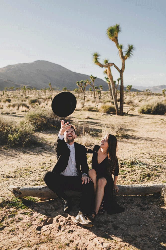 joshua-tree-jay-hat-flip-gif_cassiecastellaw.com-001.gif