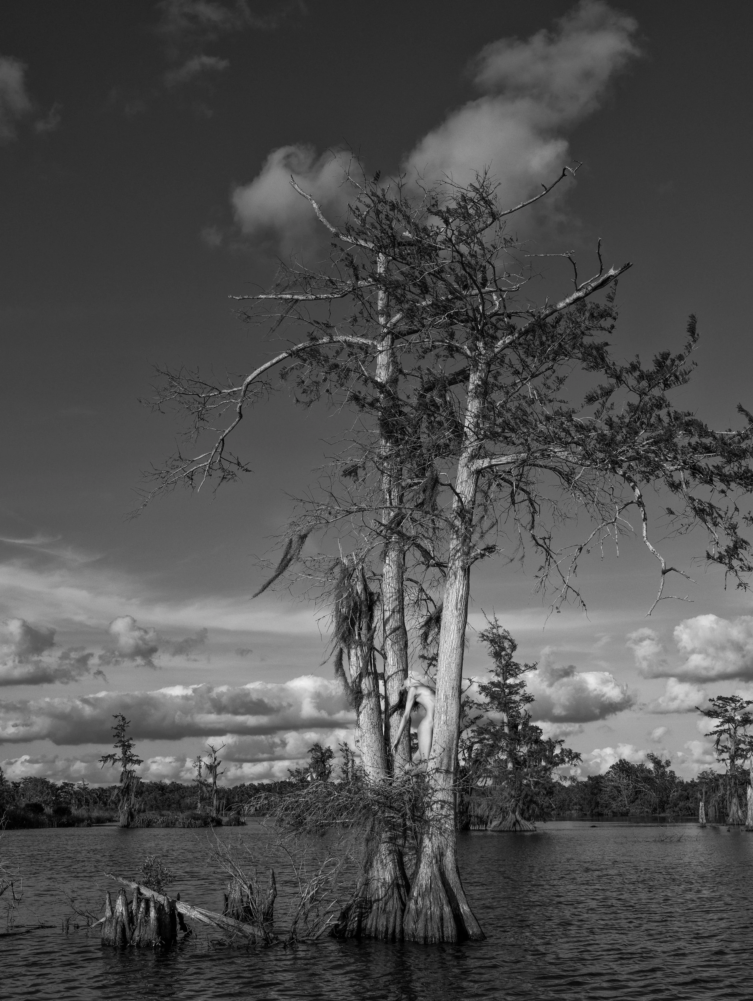 swamp  Island 5 bw copy.jpg
