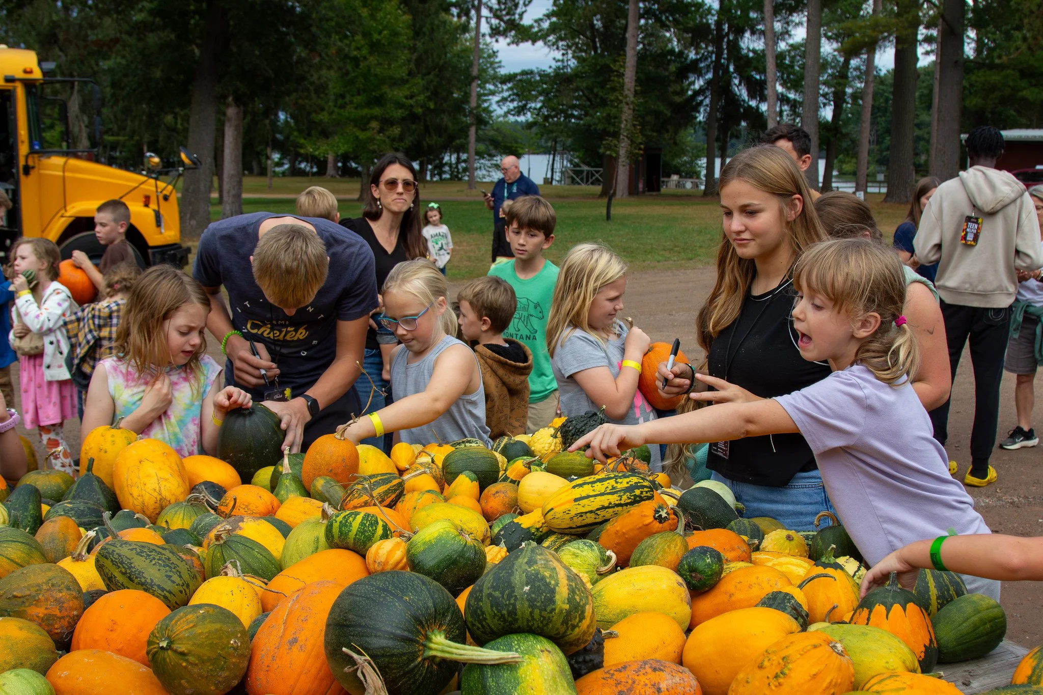 Fall Festival