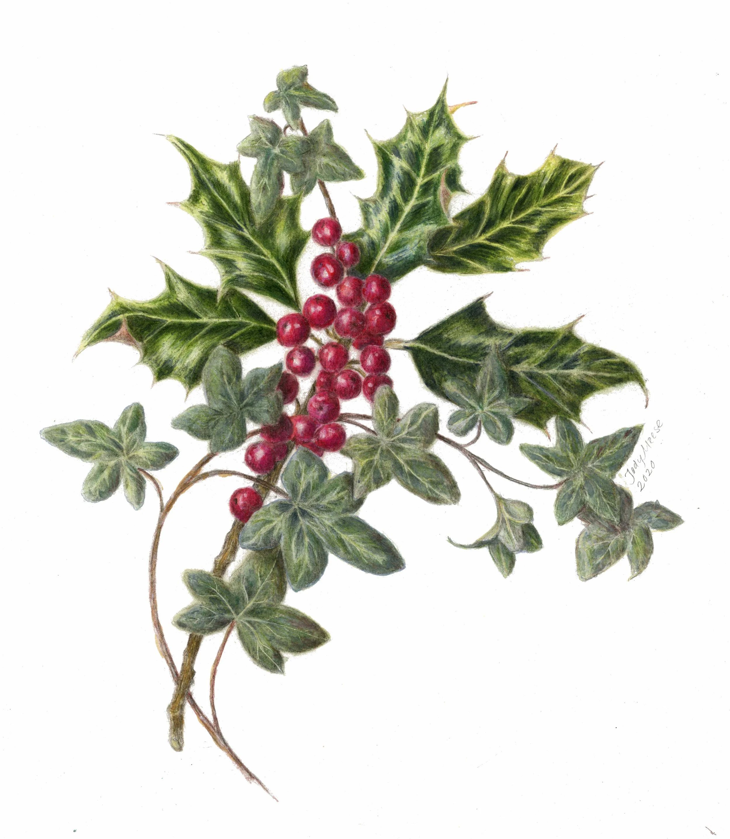 Holly & Ivy ReDo.jpg