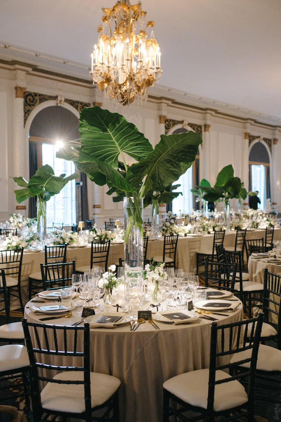 haley_paul_details_126.jpg