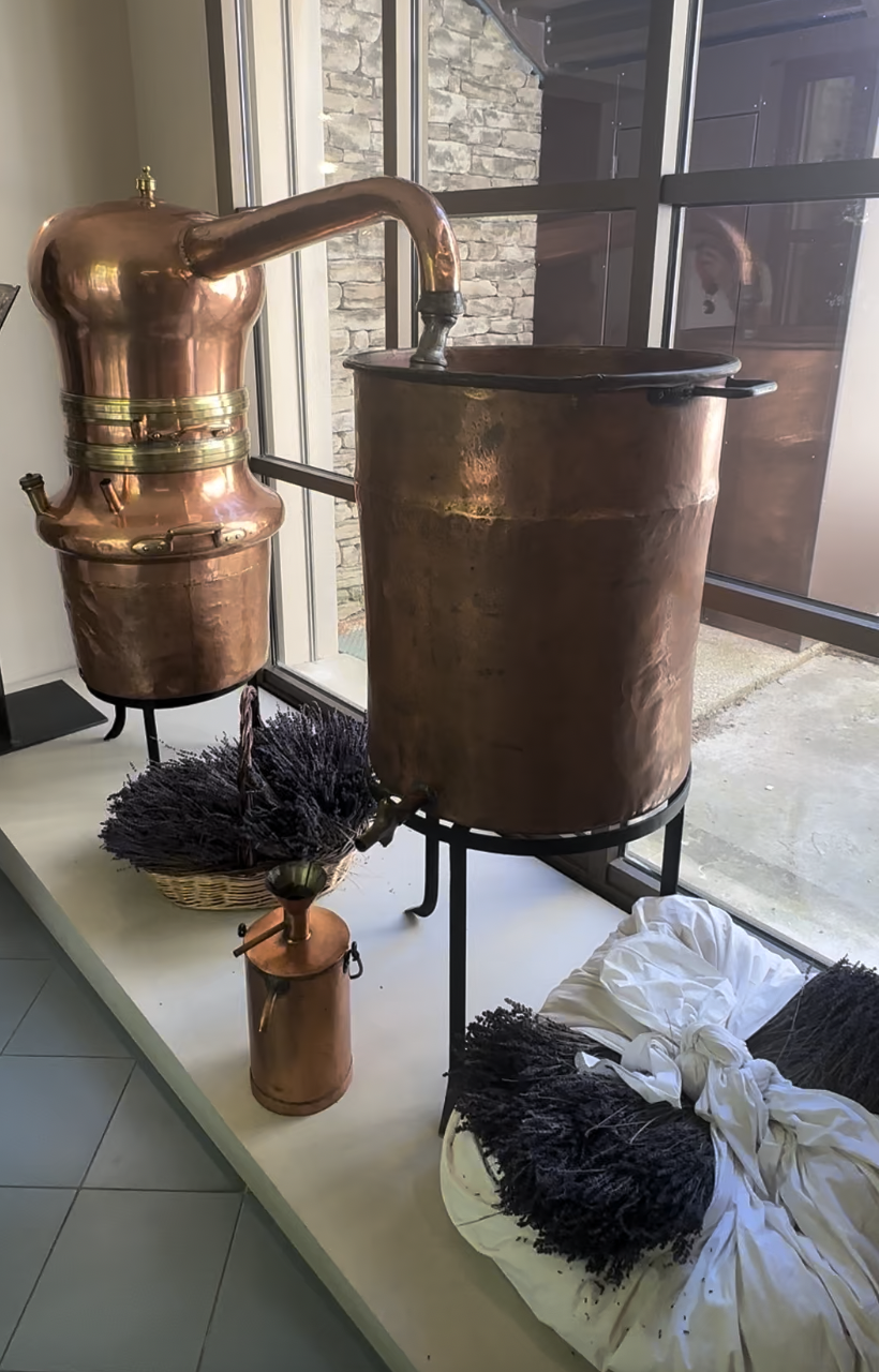 Screenshot 2026-02-13 at 9.32.29 AM.png