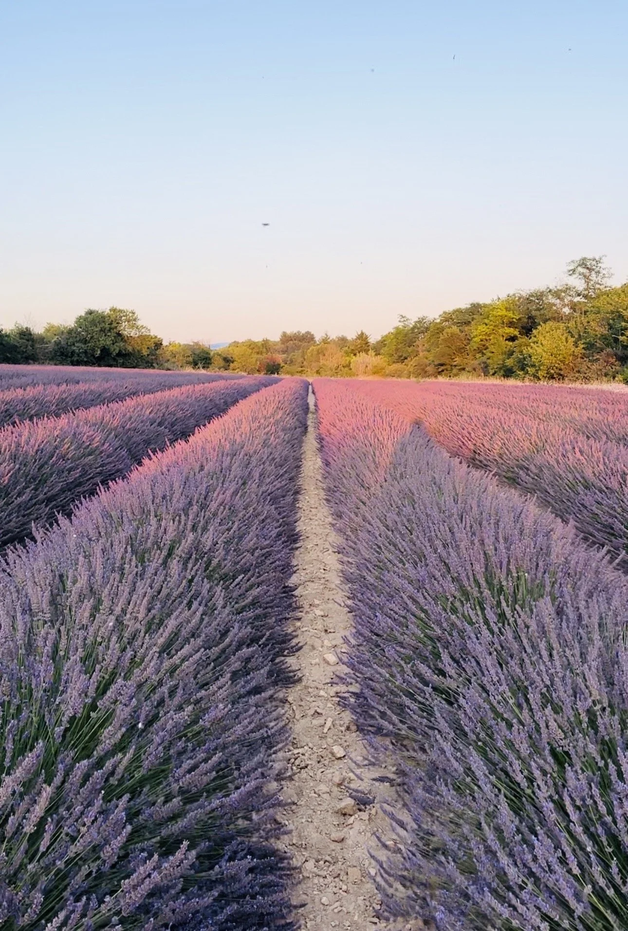 Visit Provence France 