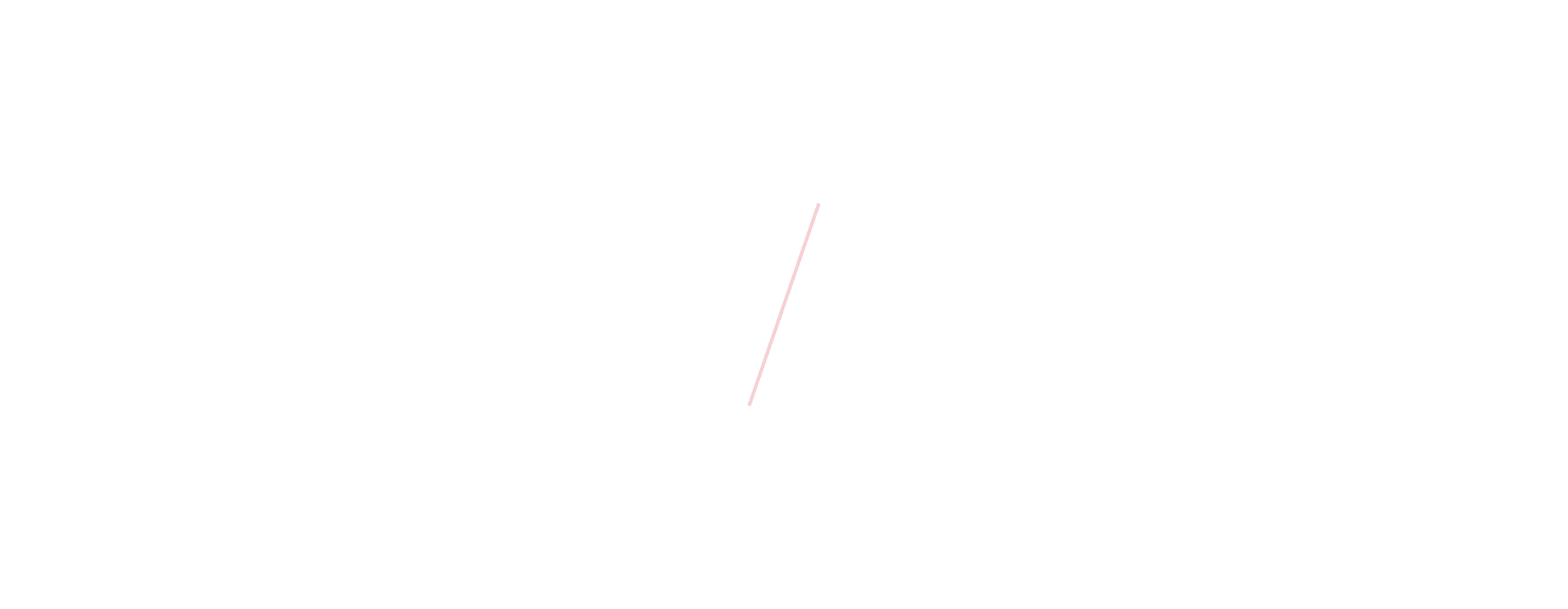 slash.png