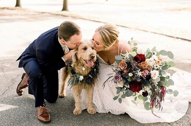 Here&rsquo;s to a new week and more beautiful flowers! Mondays are our favorite. The start to a new week always brings something refreshing and exciting!

Photography || @ivoryandbliss