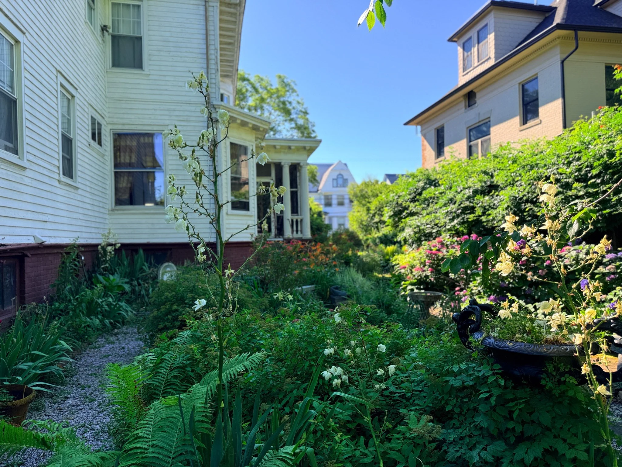 Hempstead-3.jpg