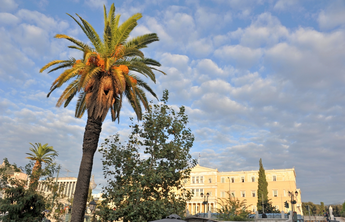 syntagma square by parliament