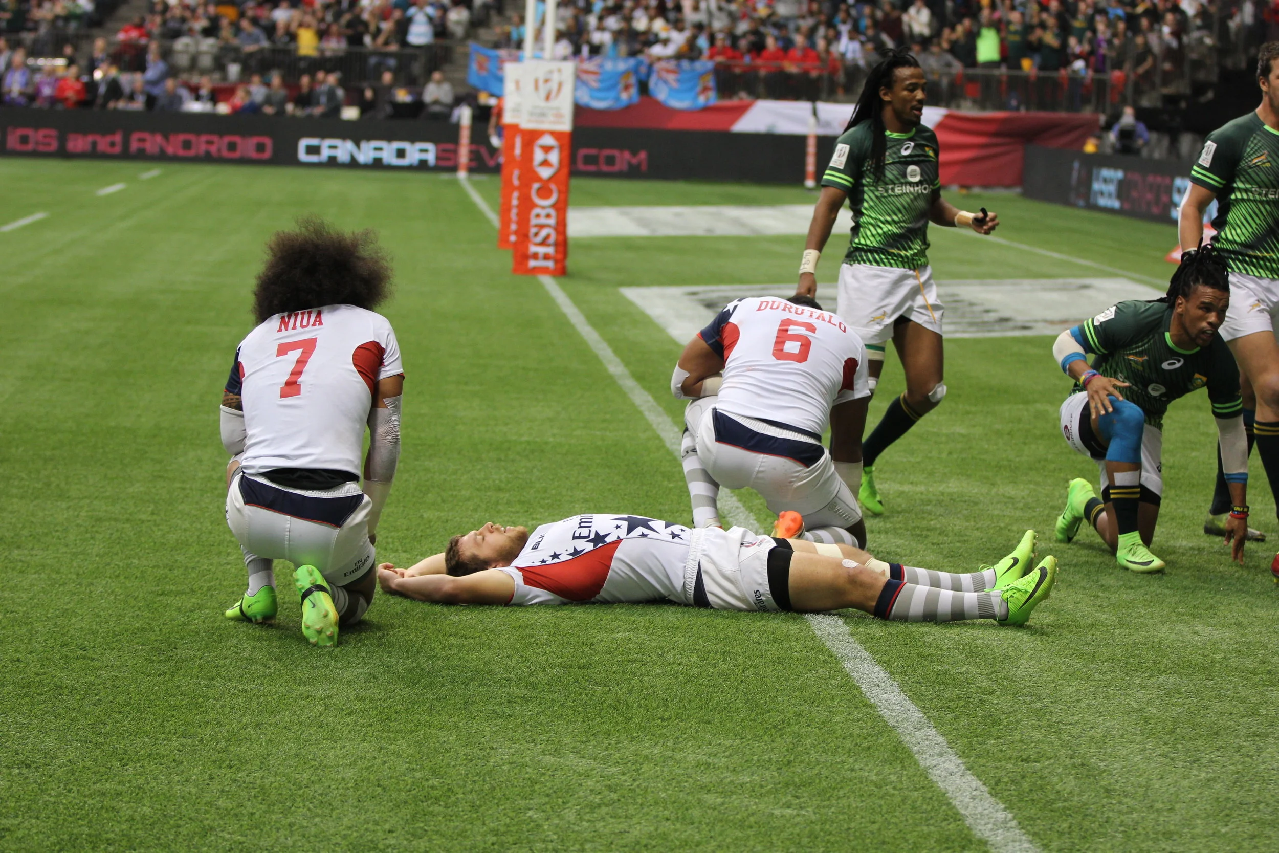 Eagles Distraughy.JPG