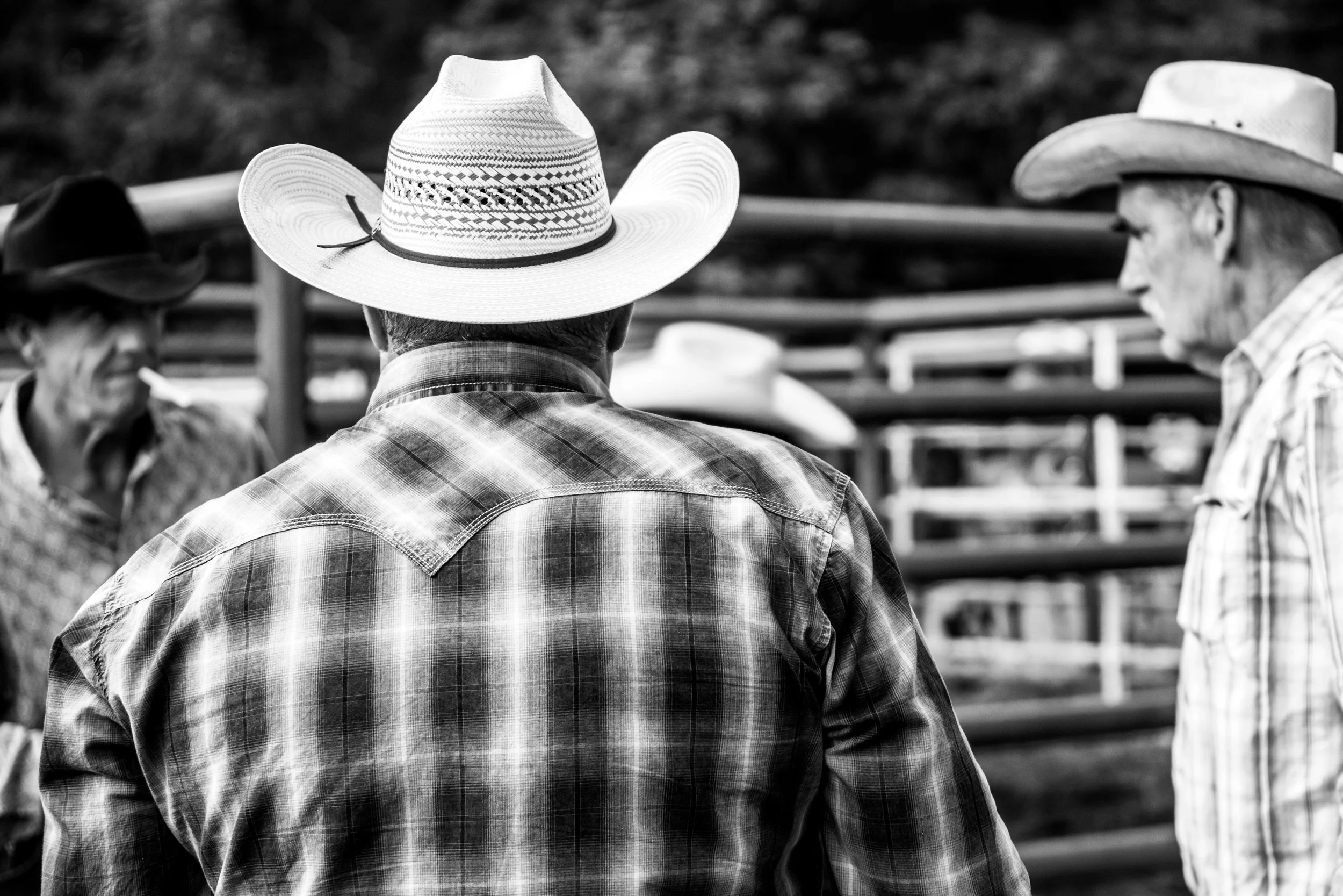 RODEO-14.jpg