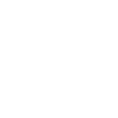 NZ2.png