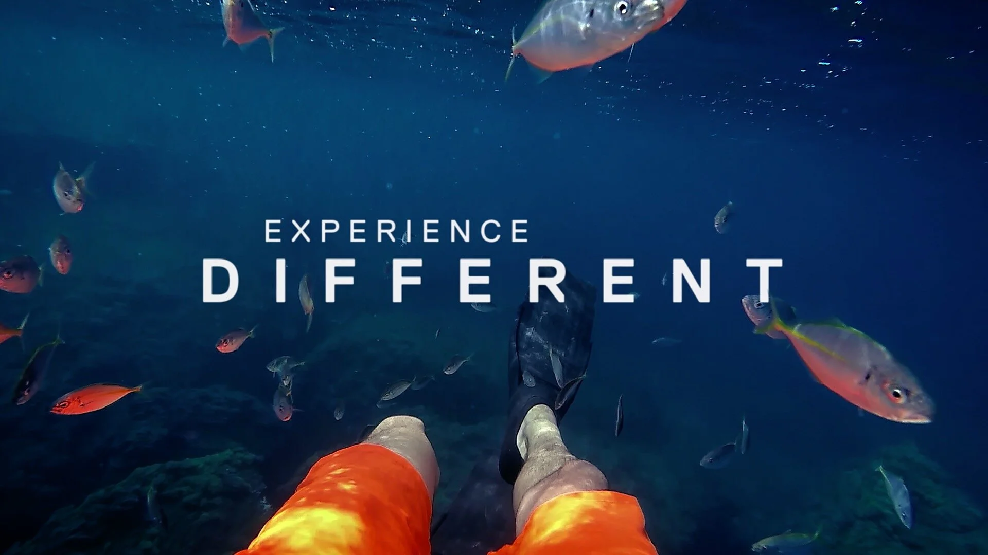 EXPERIENCE DIFFERENT Feat. SOFI TUKKER | Music Director