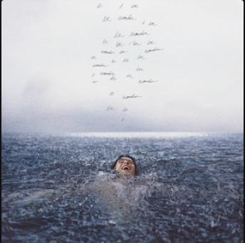 Shawn Mendes - Wonder | Consultant