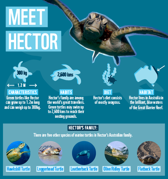 AdopterWelcomeSeries_Welcome_Turtle_Graphic.png