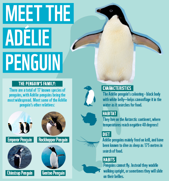 AdopterWelcomeSeries_Welcome_Penguin_Graphic.png
