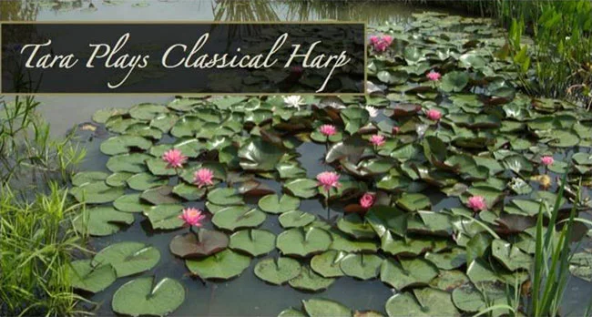 classical_harp.jpg