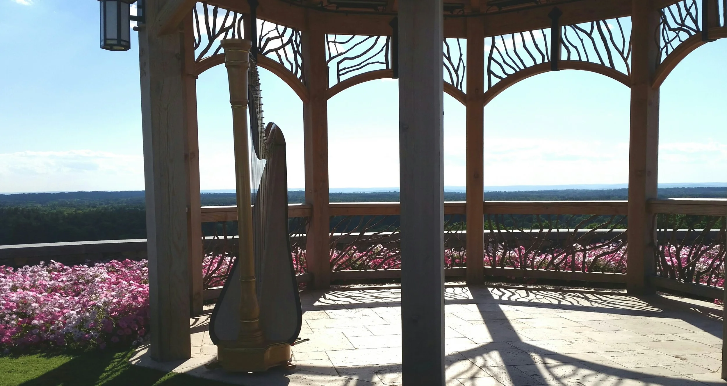 2016-06-19 09.53.02-1.jpg