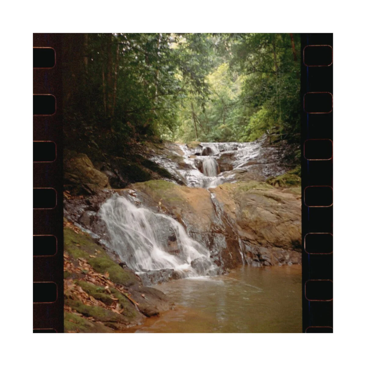 7637a0dee479894c424701ed0066b037