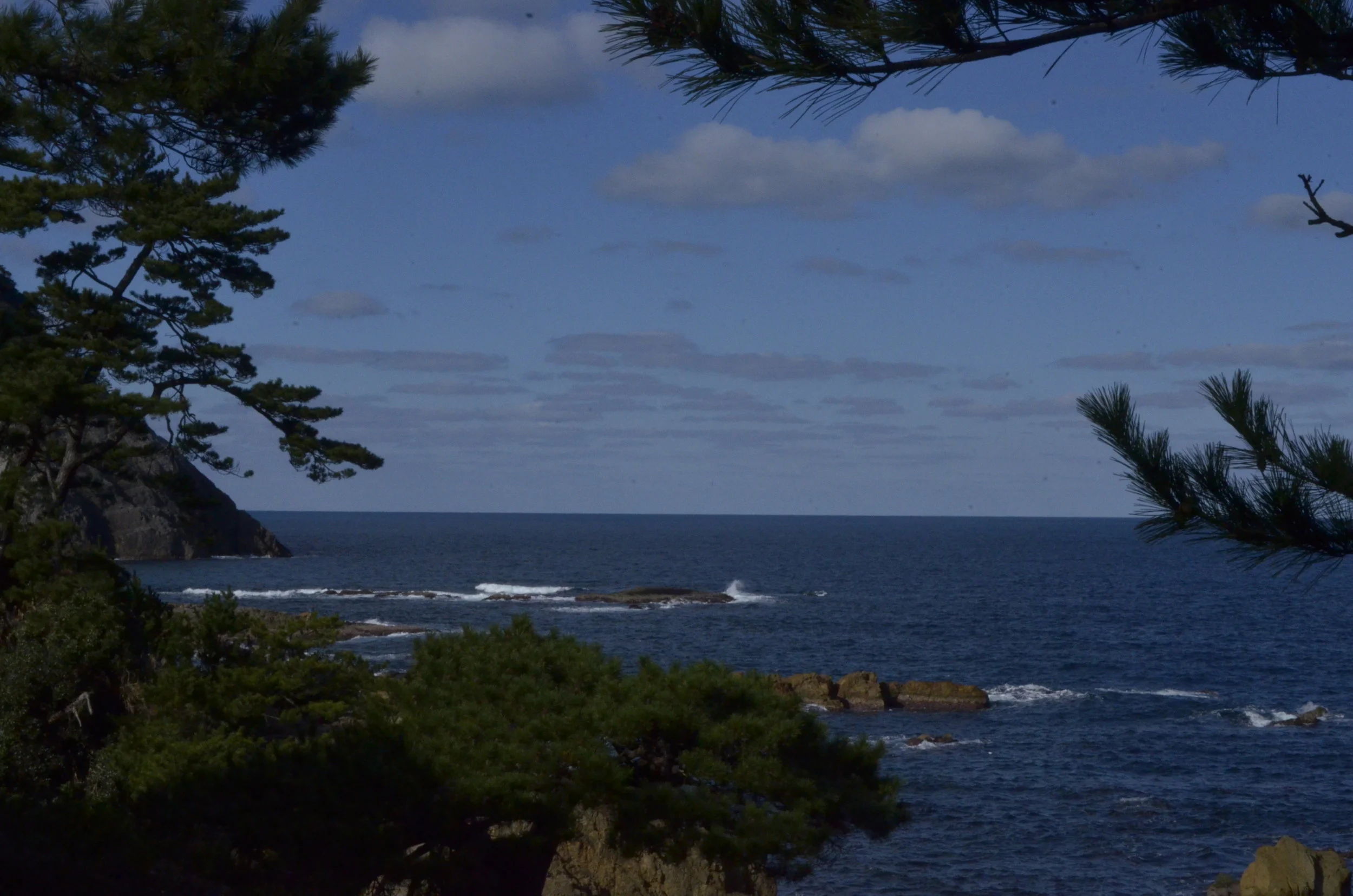 う〜ん、渋い‼︎ 日本海！