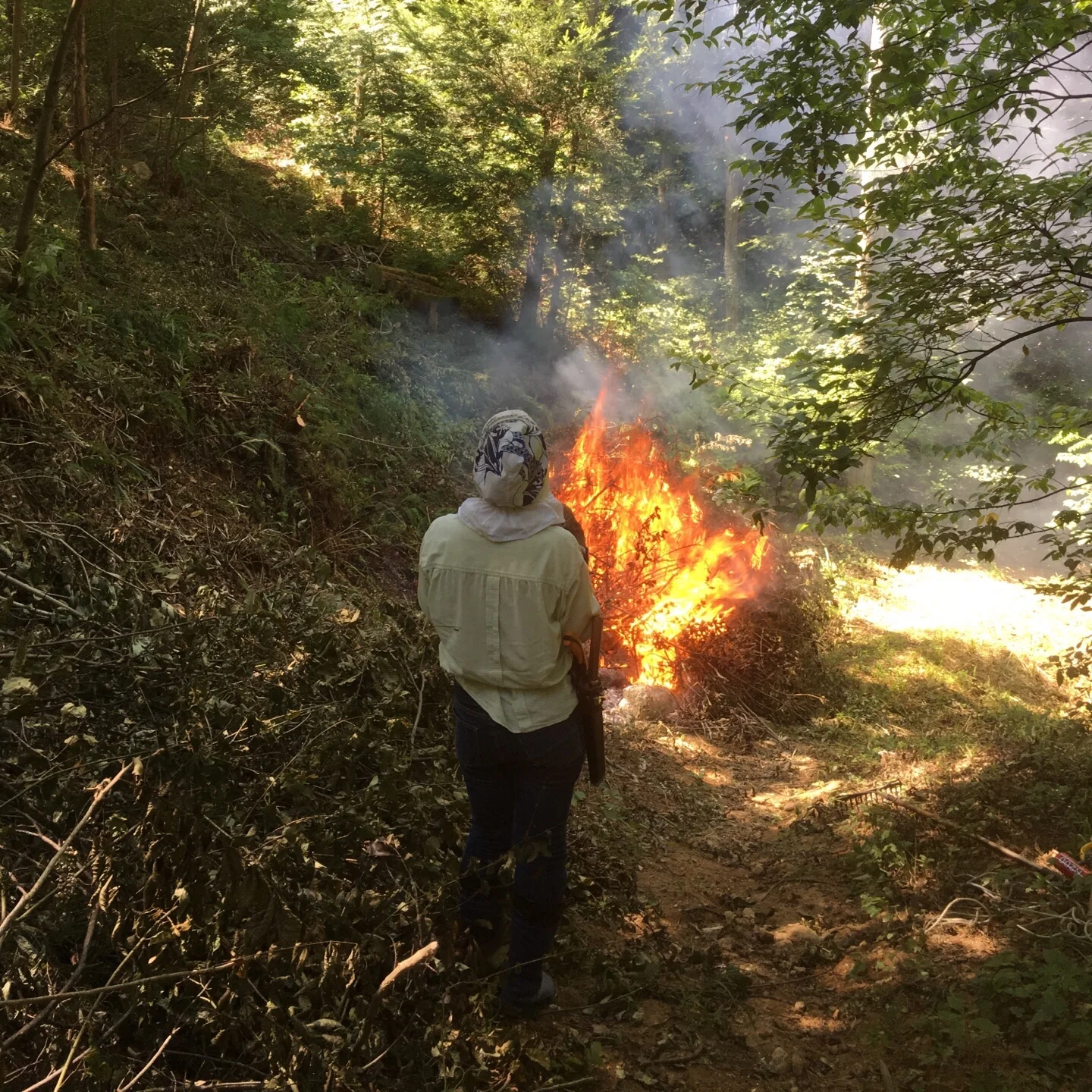 It’s Been a Year / 今日で一年