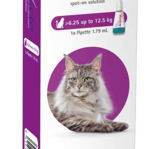Bravecto Cat - 6.25-12.5kg
