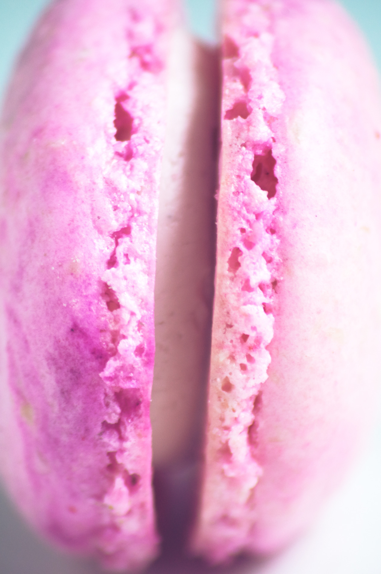 tumblr_nlanggVN7a1uoa2fwo3_1280.jpg