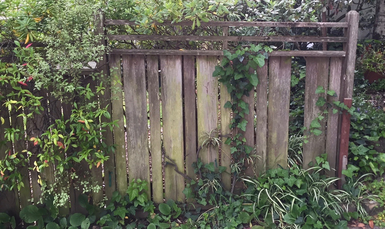 Fence