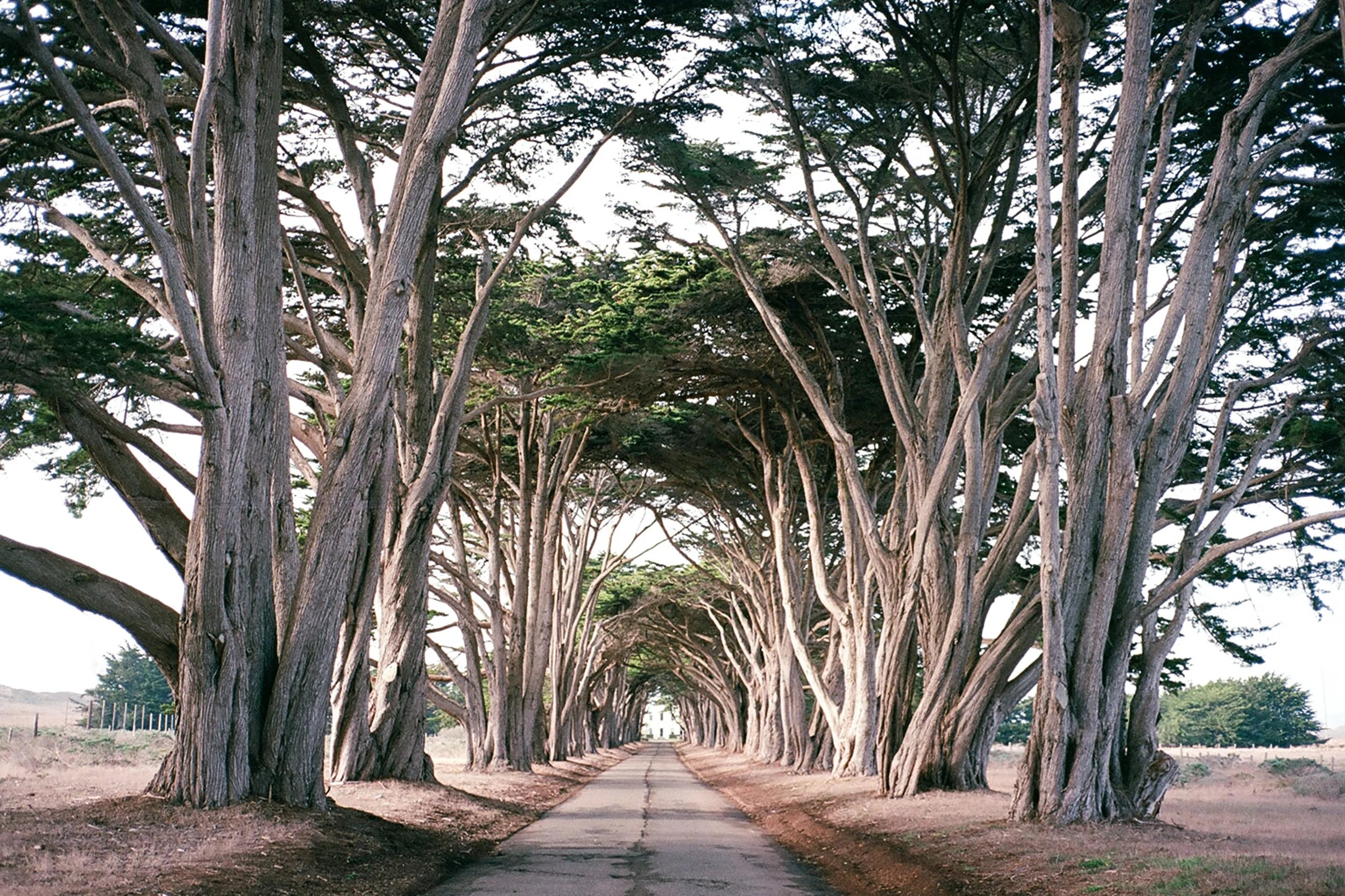 Photo by Ashley Tarr